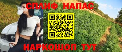 гашик Краснодар