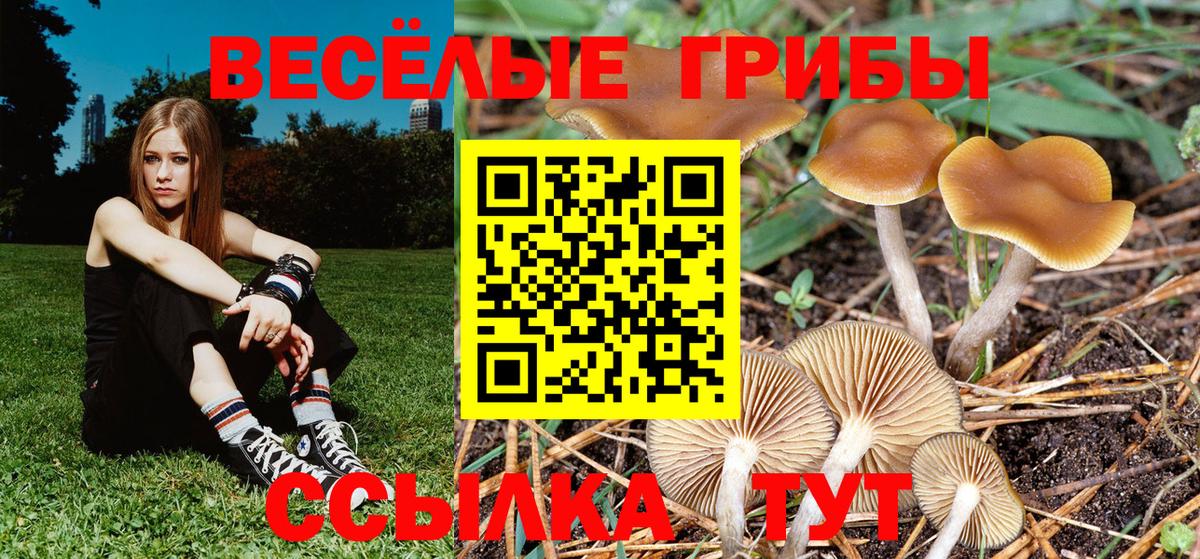 Галлюциногенные грибы MAGIC MUSHROOMS  Галлюциногенные грибы Cubensis  Ижевск  Вход с VPN 